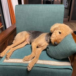 vol.105｜去你的精神内耗！