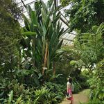 疯狂路易基