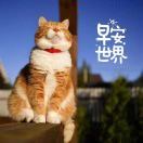 峰_N5Gm