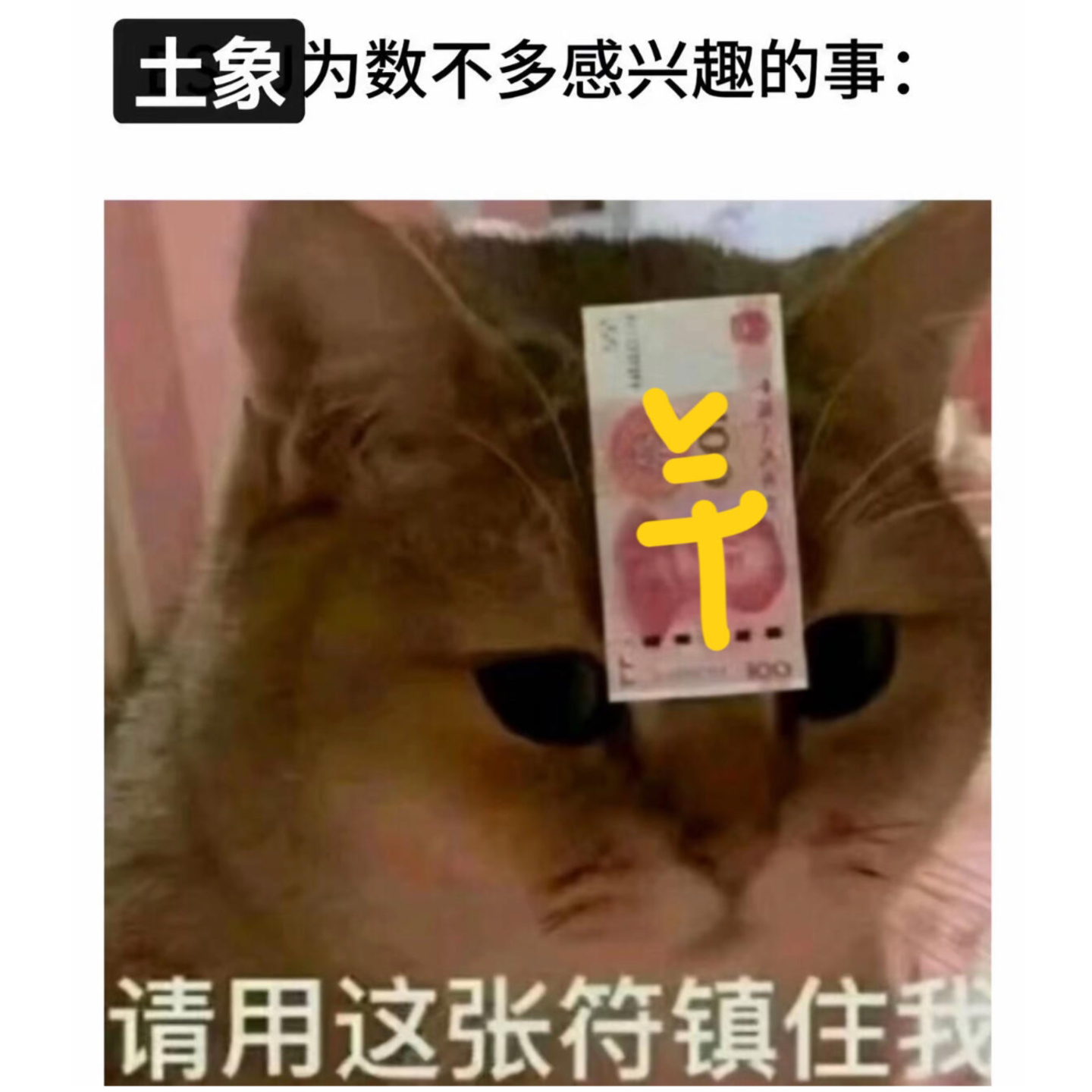 6.如何拿下「土象星座」crush？人机系统恋爱攻略 episode artwork
