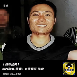 国内刑侦1号案:头号悍匪-张君(3)红粉军团丨犯罪纪实