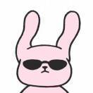 Joy_zsl5