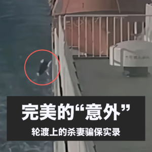 完美的“意外”：轮渡上的杀妻骗保实录 Vol.13 【故事合订本-迷案】