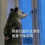 午睡睡不睡