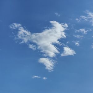podcaster-avatar