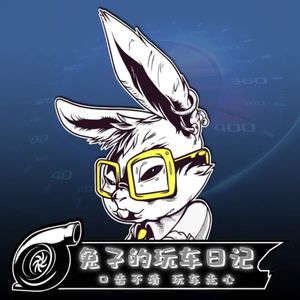 玩车的兔子