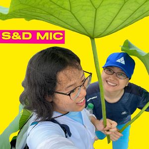 S&D’s Mic