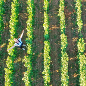 在葡萄酒世界塑造三观的占星师是怎么回事