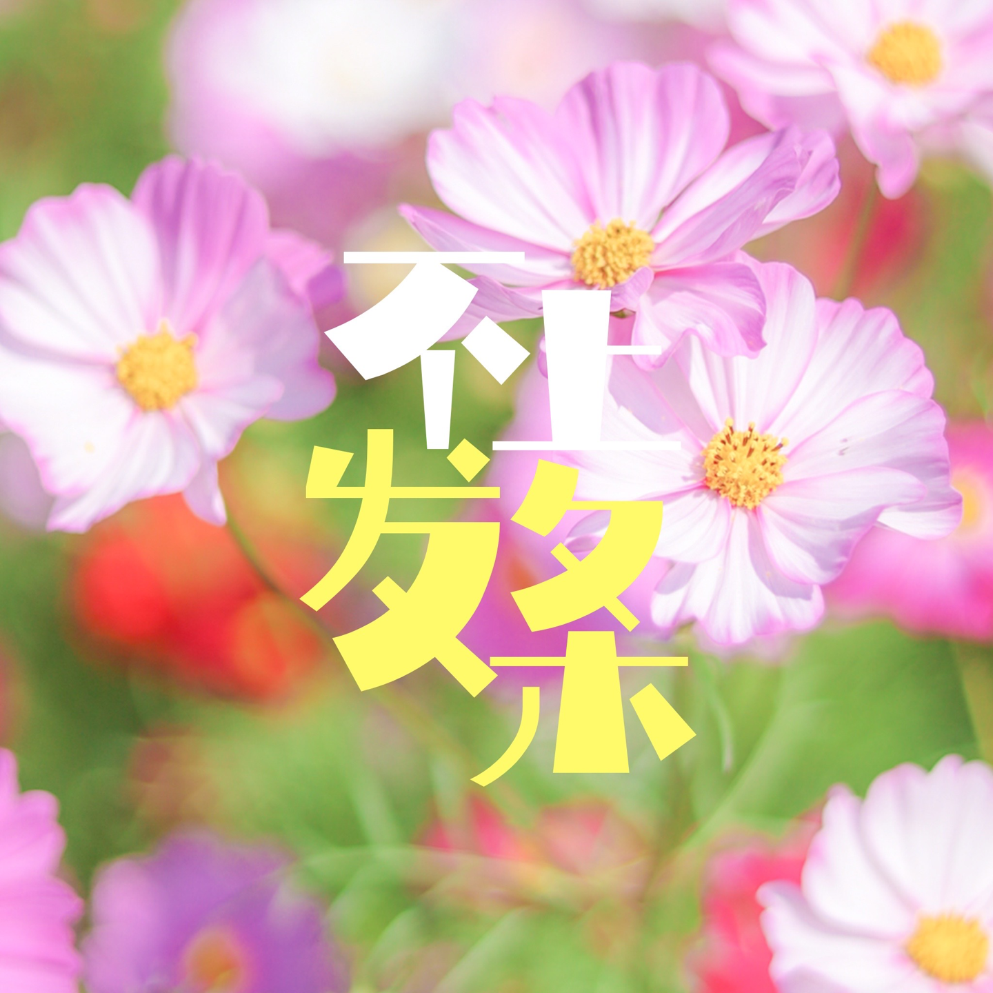 cover of episode E18. 有什么和玩手机一样不需要太多能量值但能感到快乐的事？｜戒手机瘾