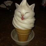 只喝冰的_
