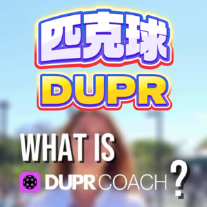 匹克球DUPR评分体系全解析