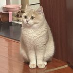 Hii_Flora
