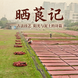 Vol.01 唯物主义解构香云纱:从早茶里的芋头,到广东商人的生存算法