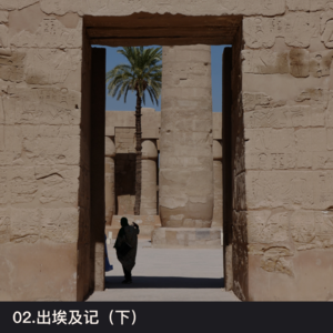 02.出埃及记(下):女性如同困兽,骗子和我们一起在信任的世界里崩塌