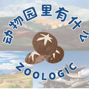 云南最成功的疯玩之旅!盒马进货式逛吃+边境秘境+古寨云海+59元温泉自由,直接封神