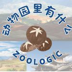 云南最成功的疯玩之旅！盒马进货式逛吃+边境秘境+古寨云海+59元温泉自由，直接封神