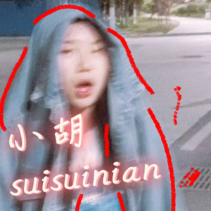 年度suisuinian