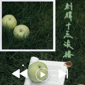 刺猬十点读播🦔