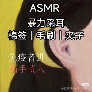 ASMR|棉签 毛刷 夹子 重力采耳