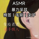 ASMR|棉签 毛刷 夹子 重力采耳