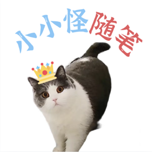 小小怪随笔