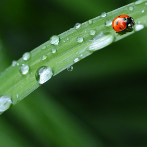 EP113 股票幂排序