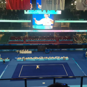 杨乐多第162期:成都世运会武术比赛观察