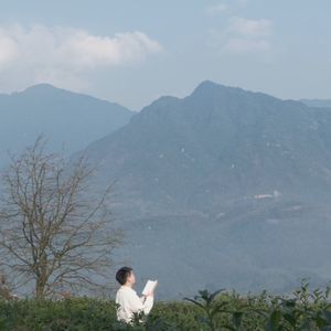 颜赫君