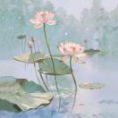 夏日西瓜冰汽水