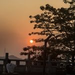 听风之谷