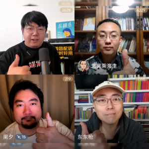 195.品牌杂谈：没有免费流量了，爆款都是跟平台的合谋