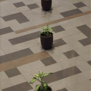 45,创业十多年,在面对怎样的焦虑