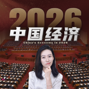 十五五开局，两会给中国经济划了哪些重点？