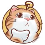 猫似Max