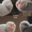 脚滑的狐