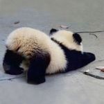 时生啊