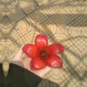 podcaster-avatar
