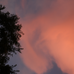 06｜腾冲旅居一年半小结：回到线下，重做小镇青年