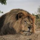 吞吞国王爱学习版