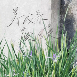 养成系废话煲