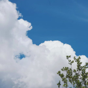 010-愿我们在“更好地成为自己”这条路上，始终坚定！