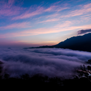 EP48 趋势跟踪与风险平价