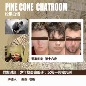 17.罪案时刻 | 父母一同被判刑—伊森校园枪击案