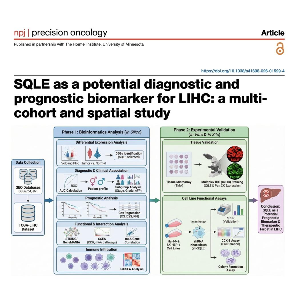 1270-SQLE as a Diagnostic and Prognostic Biomarker for LIHC episode artwork