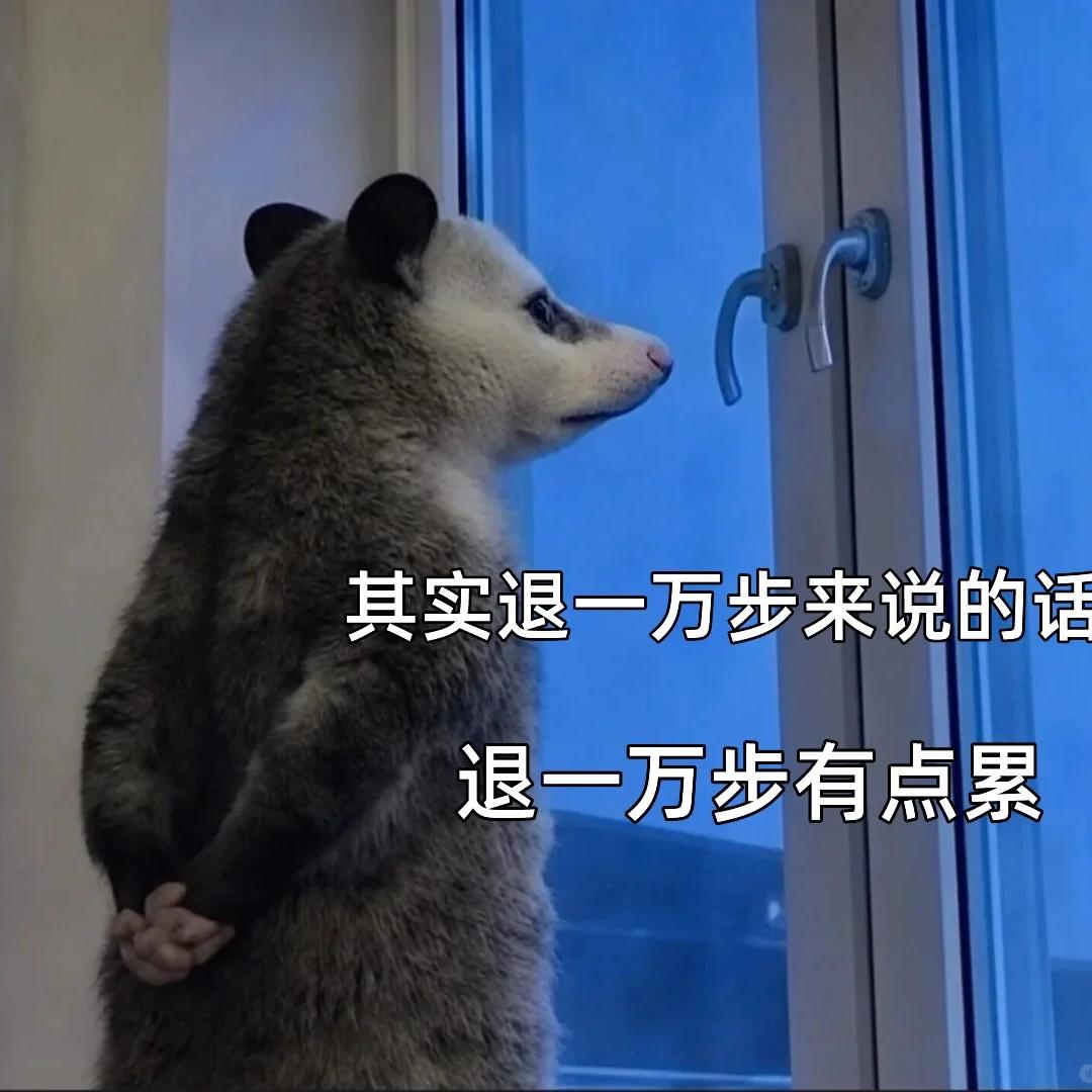 Ep74 和不优绩主义的朋友聊完，我突然没那么想赢了 episode artwork
