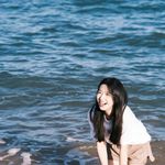 小叶榕jeongdong