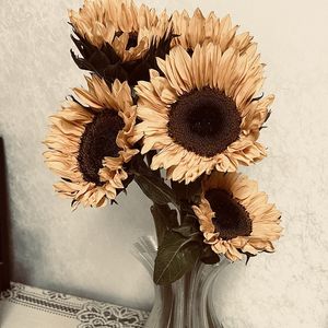 podcaster-avatar