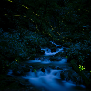 声久村 壹号 照壁 ： 摄影师的耳朵和录音师的眼睛