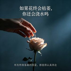 024|如果花终会枯萎,你还会浇水吗|所有终将落幕的热爱,都值得认真奔赴