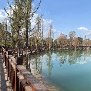 飞哥的经济理论播客